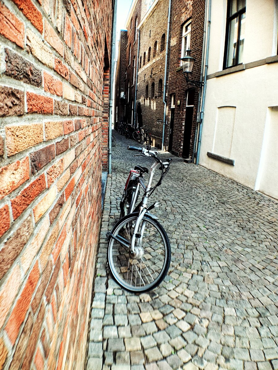 Fährst du gerne Fahrrad?