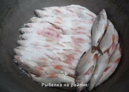 Как вкусно вялить рыбу в домашних условиях​