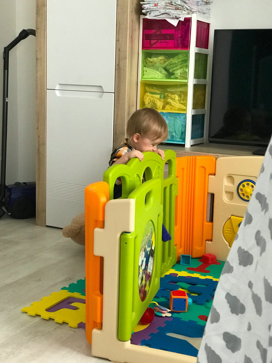 Тот самый манеж. Как видите, он большой и там есть, где разгуляться