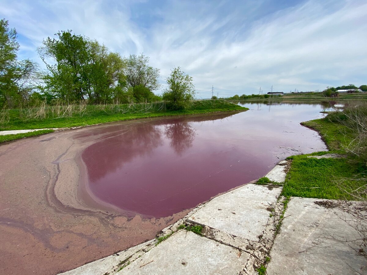 Розовые озера Самара пивзавод