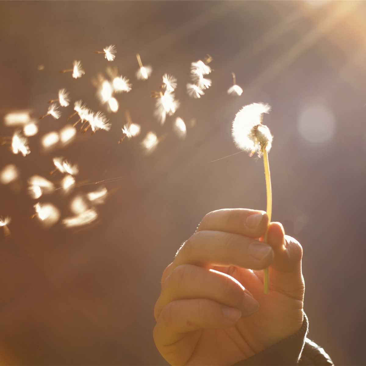 Отпустить старое