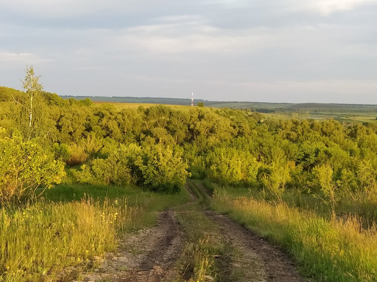 Моё любимое место для уединения. В лучах заходящего солнца