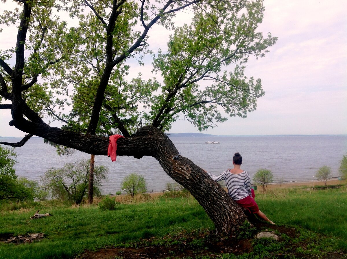 Дубу дам. Дать дуба. Артео дуб Конгар. Дуба дам