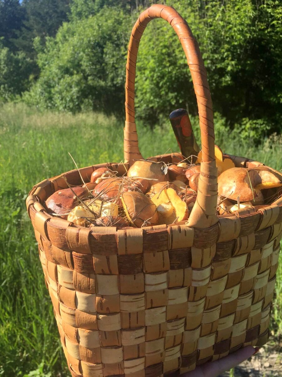 Фото Ольги Седойкиной.