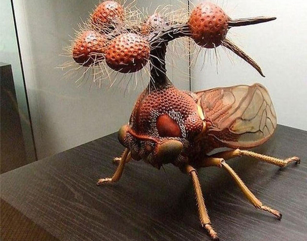Новый вид насекомых