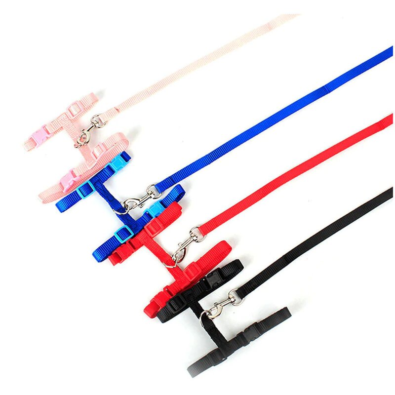 Для удобного выгула необходим поводок http://ali.pub/4wjk4r