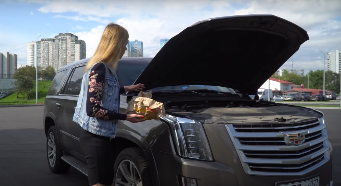 ВОНЮЧИЙ Cadillac Escalade. Лиса рулит