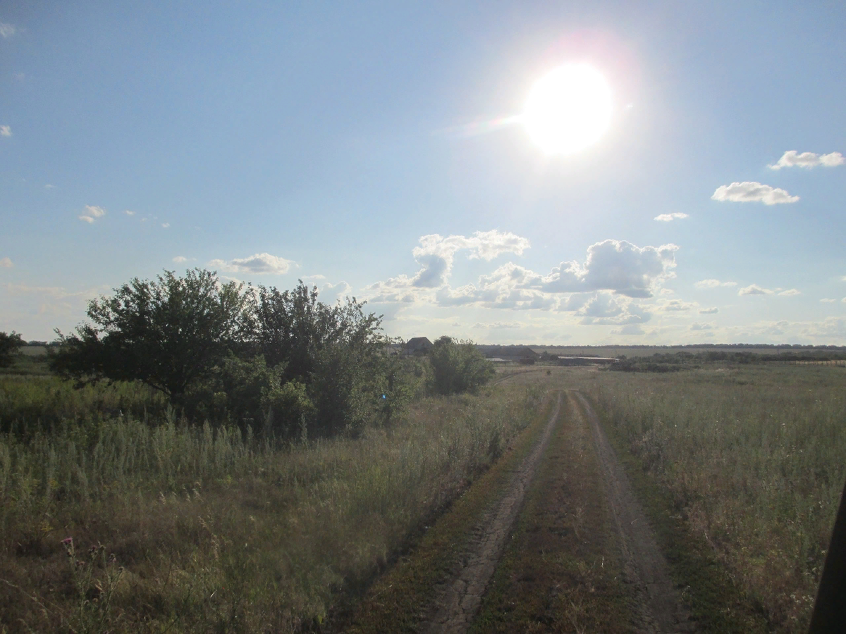 Погода волгоградской село вязовка. Село Вязовка Саратовская область Татищевский район. Деревня Вязовка. Злобовка Саратовская область. Вязовка Пензенская область Пензенский район.