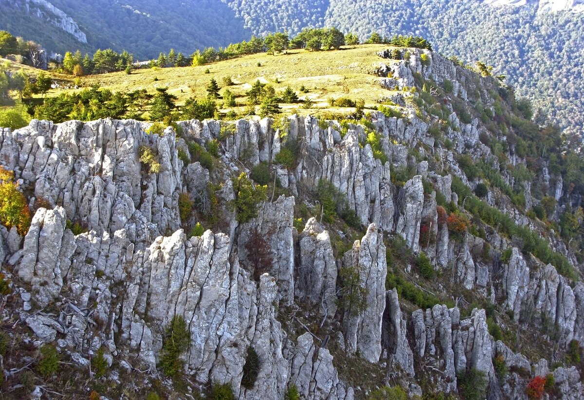 Фото: © Анна Гребенникова