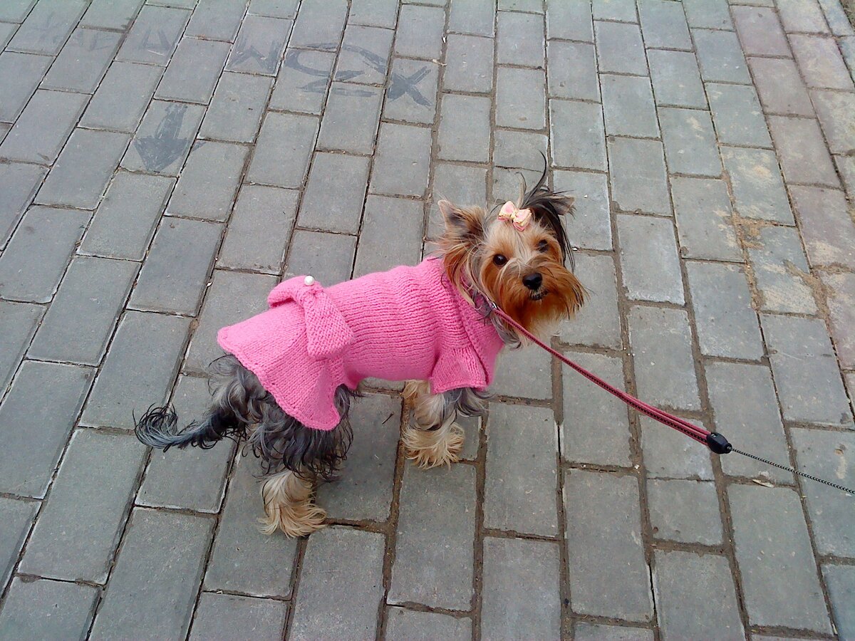 Модница Долька в пальто, которое все называют детским и милым