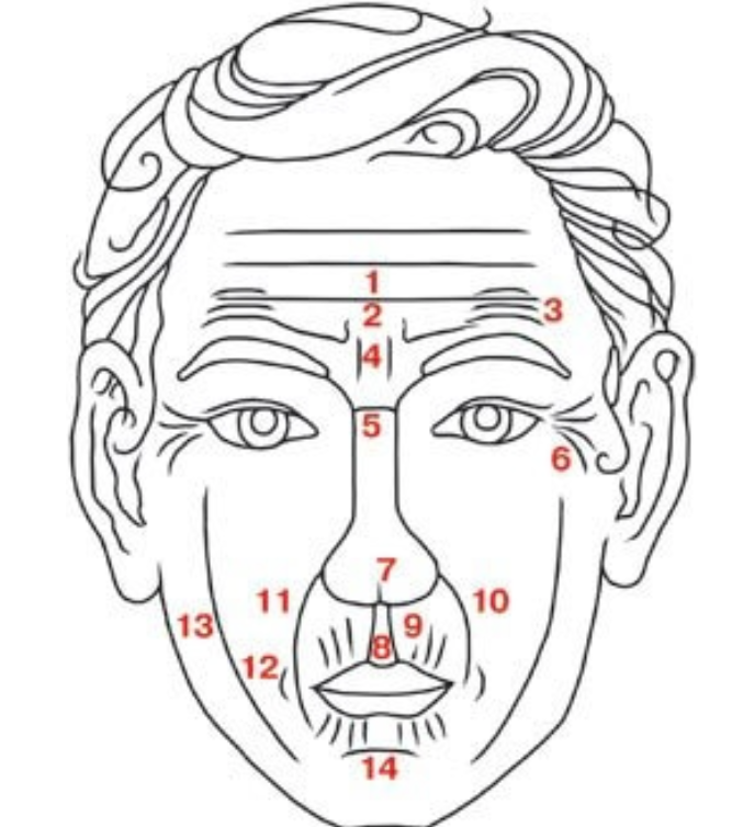 Что означает лицо. Физиогномика морщины на переносице. Физиогномика лица морщины на лбу. Физиогномика лица складки на лице. Морщины на лице схема.