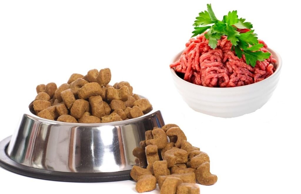 Сухой корм или натуралка?