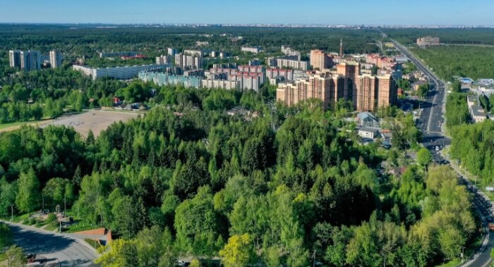 И хотя в районе действует немало промышленных объектов, экологическая обстановка здесь хорошая благодаря хвойным лесам, занимающим больше половины территории. 