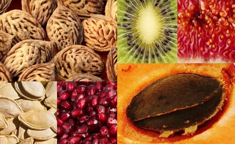 Тест для проверки ваших знаний