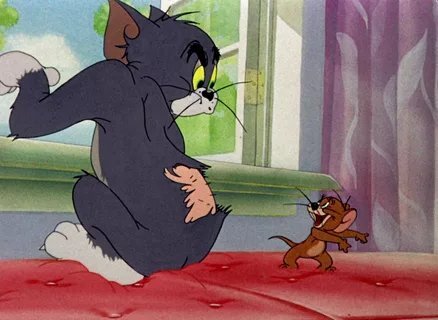 15 ноября.
Смотрел мультфильм Том и Джерри. Просто отвратительный мультфильм с ужасным и лживым сюжетом! Как его вообще могли допустить к показу?! Где они видели КОТА, который не может поймать мышь?