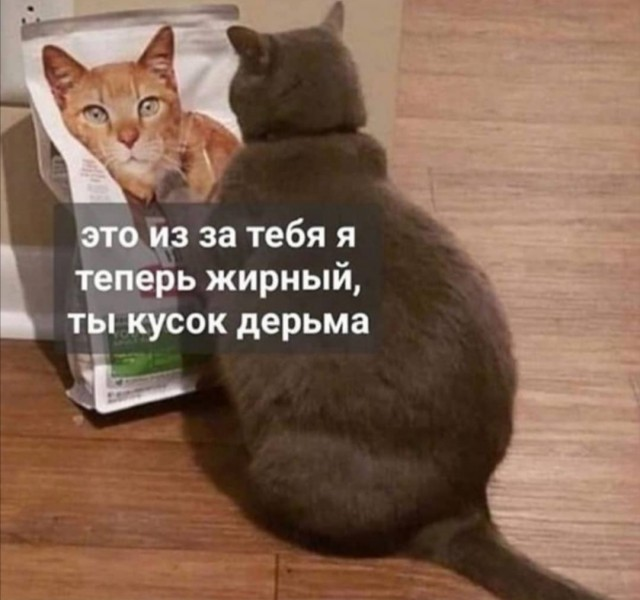 Смешные фотографии, которые заставят тебя засмеяться!(часть 1) | The ...