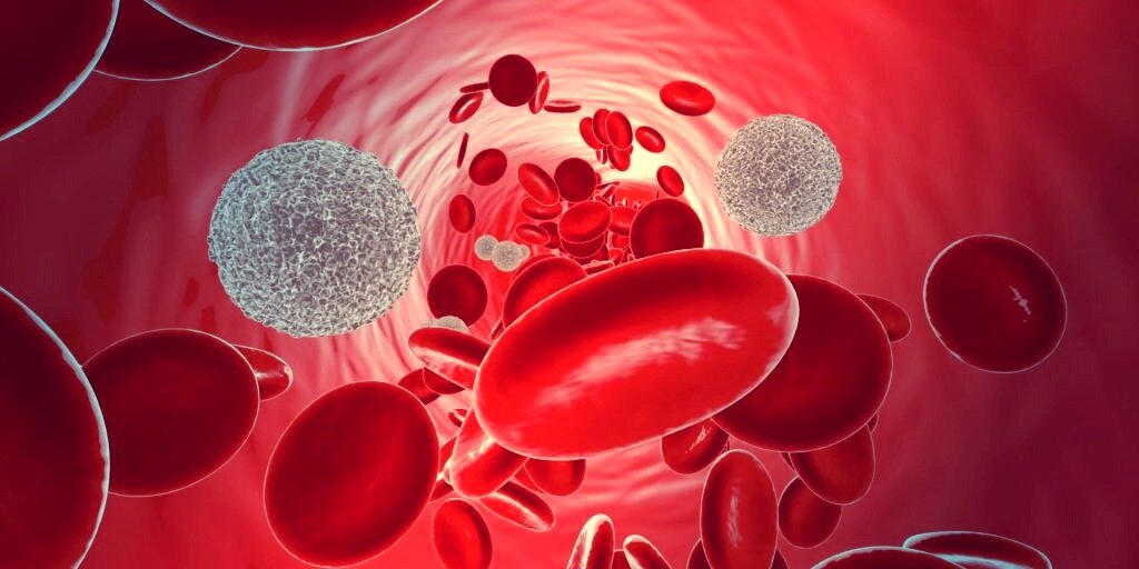 Клетки крови в кровеносном русле