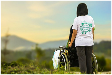 (Яндекс. Картинки)