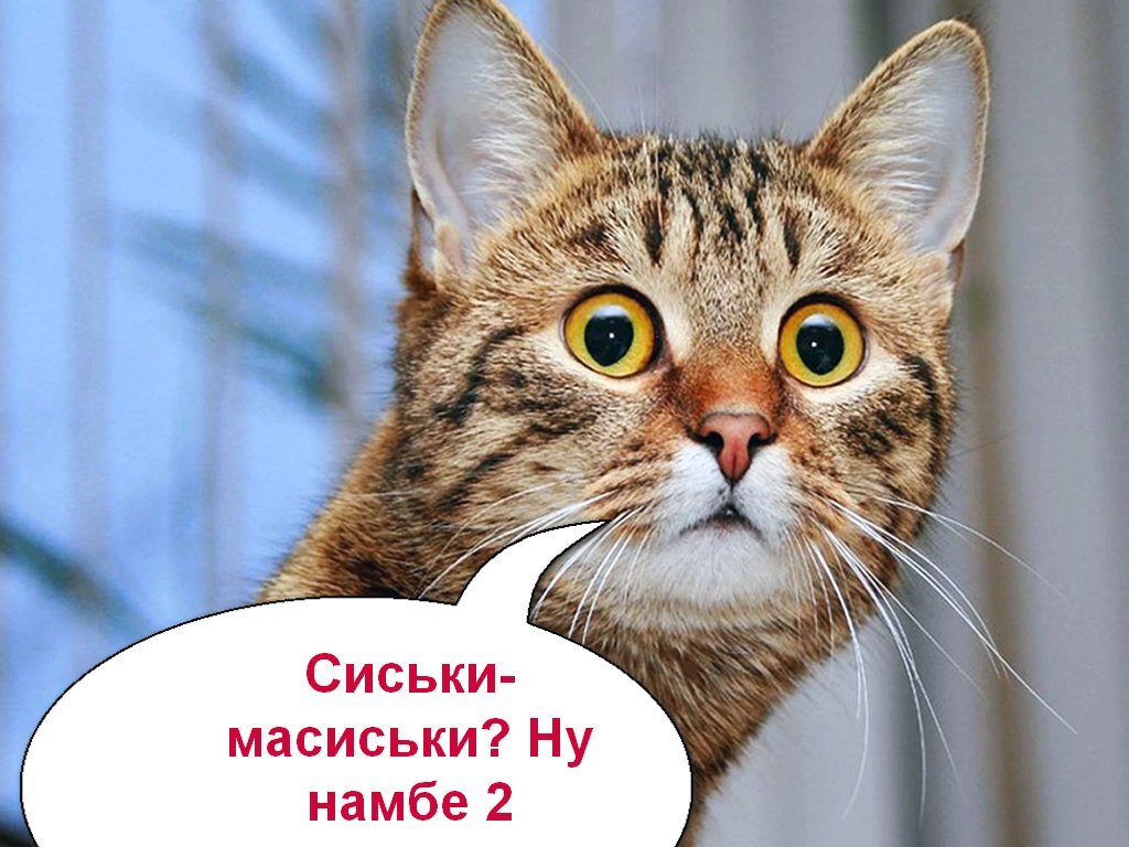 Коллаж автора