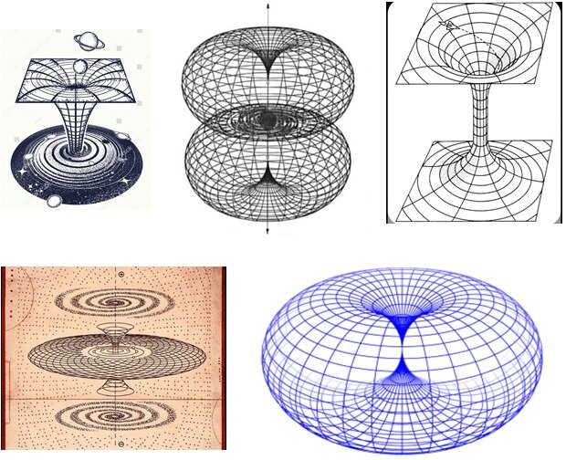 
 Здесь и далее иллюстрации подопечной
