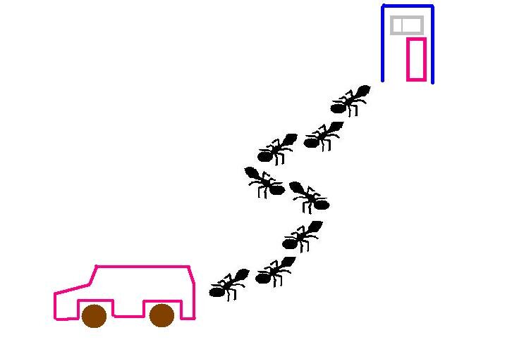 Движуха !   Рисунок автора.