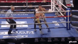 – Идеальный удар.