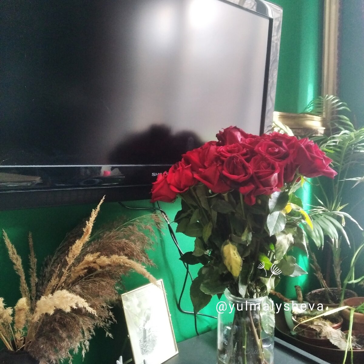 Этот букет из роз стоит у меня уже вторую неделю