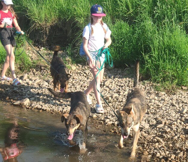 Малинка, Кристи, Барби и юные волонтеры