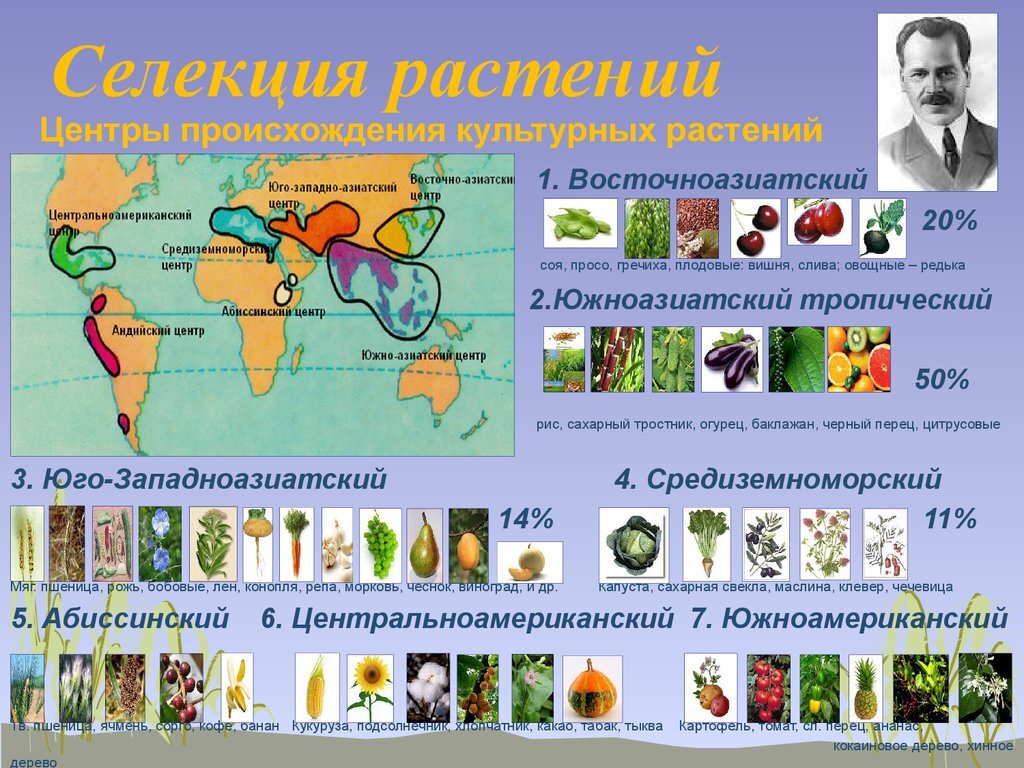 Многообразие и происхождение культурных растений презентация 6 класс пономарева