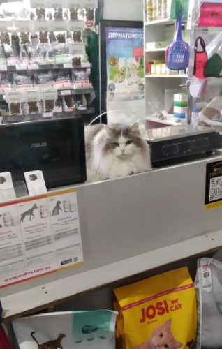 из открытых источников