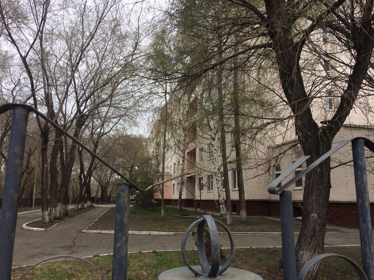 Роддом 5. Фото автора