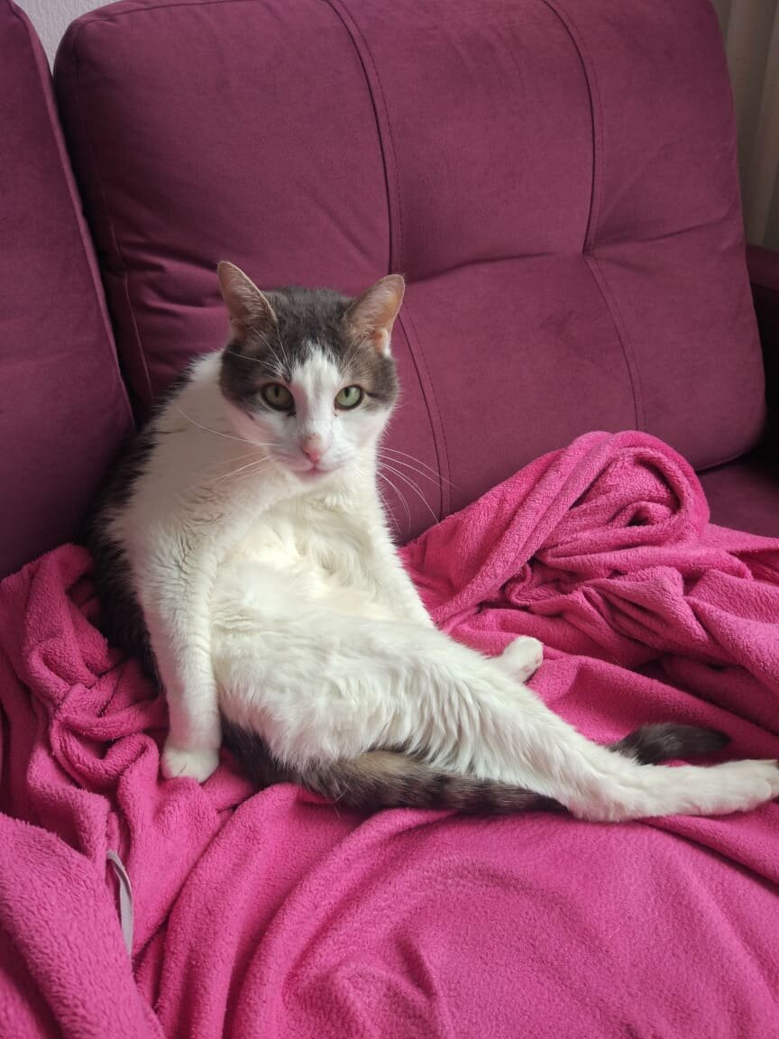 будущий толстяк