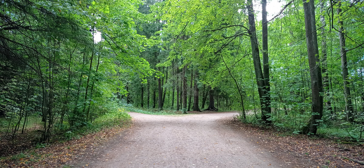Территория дворцово-паркового ансамбля «Сергиевка» Петродворцовый район г. Санкт-Петербург. 