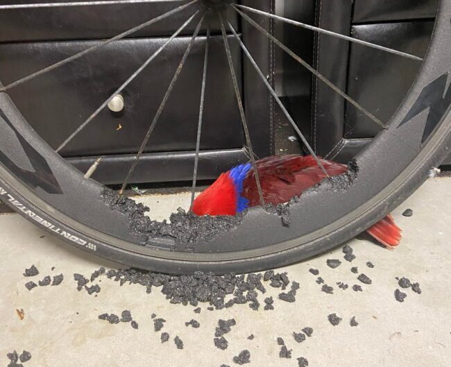 Фото с места преступления