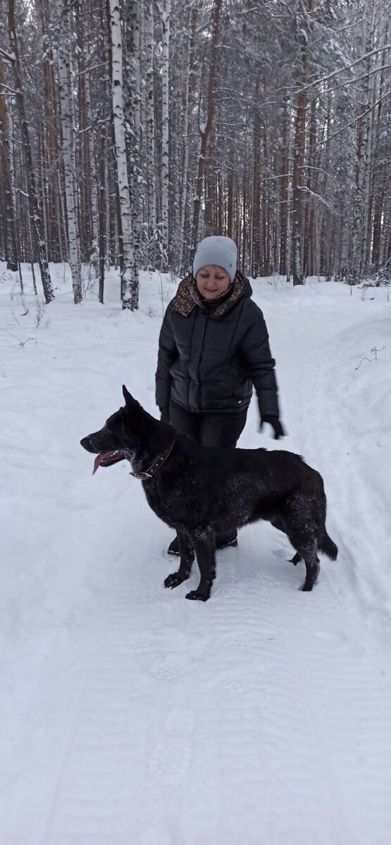 Восточный стиль Урхан и Листра (питомник "Уральский бастион")