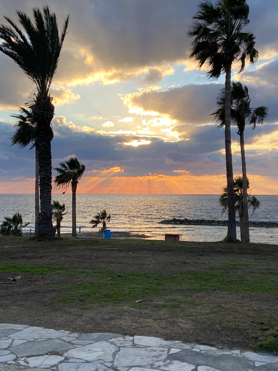 Пафос в Январе. 