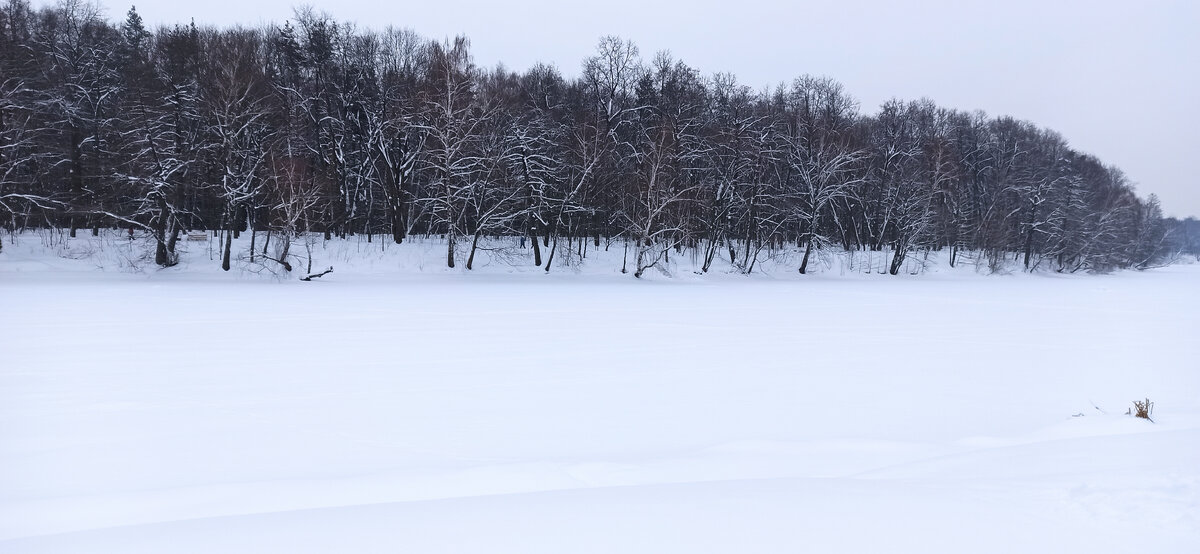 Зима продолжается. 