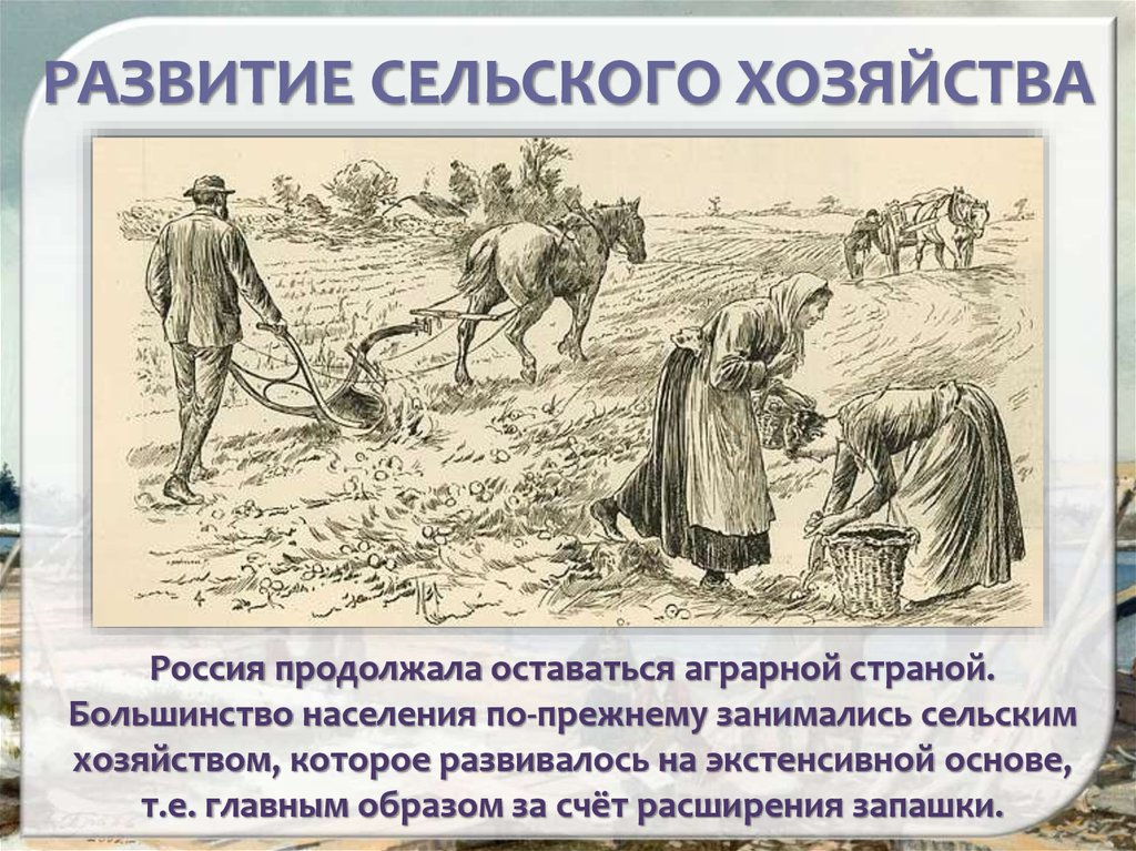 Развитое хозяйство. Развитие сельского хозяйства в России. Развитие земледелия. История возникновения сельского населения. Аграрное государство это.