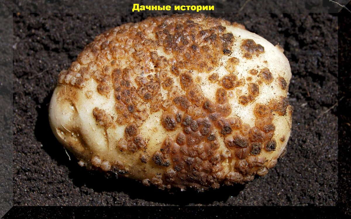 https://vk.com/photo-159774511_457251487