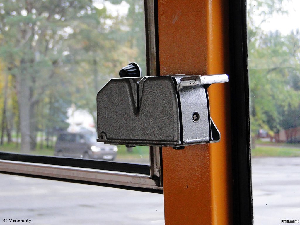 Фото из интернета