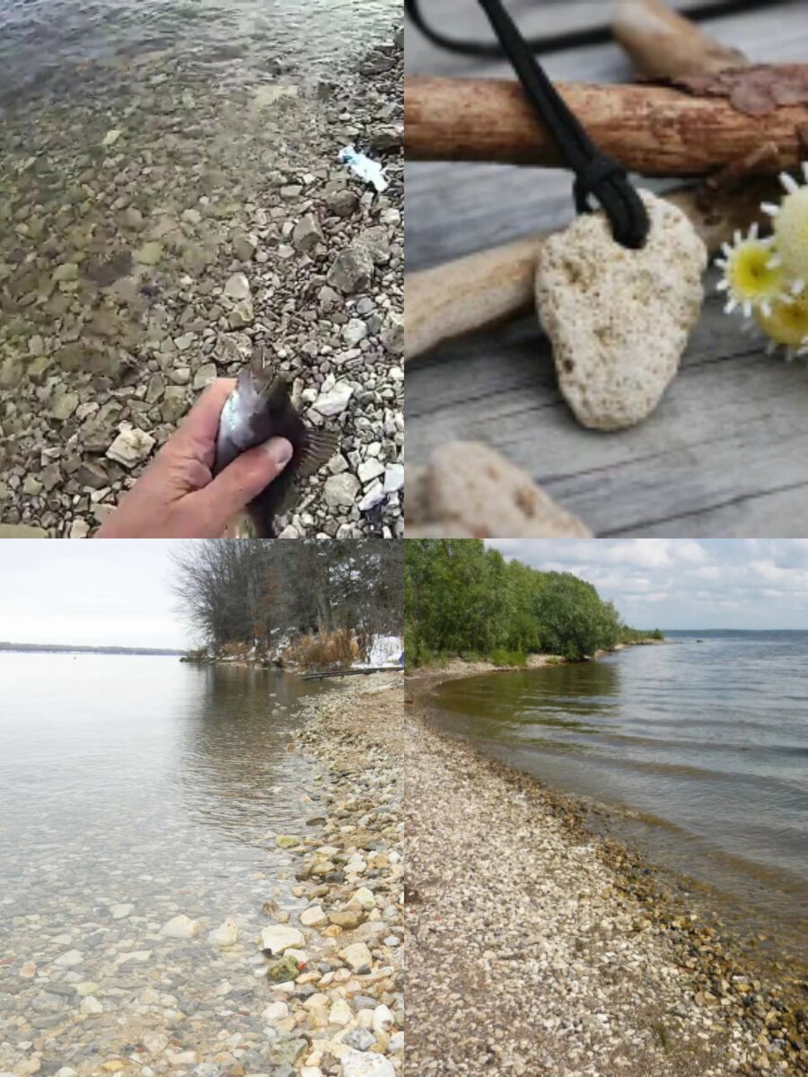 Фотоколлаж автора статьи