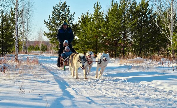 [caption id="attachment_104473" align="aligncenter" width="703"] Хаски-центр. Источник хаски-центр У каменных ворот[/caption]