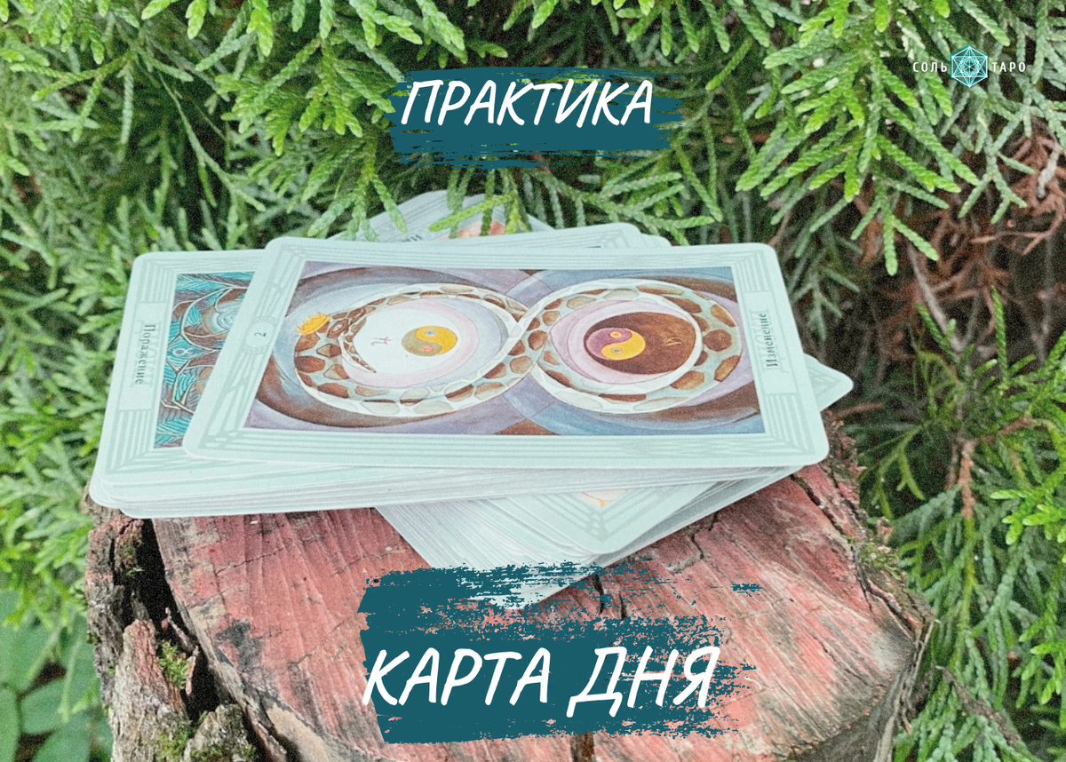 Фото из личного архива Ольги Соль, Школа "Соль Таро".  Статья "Как практика “Карта Дня” меняет нашу жизнь".