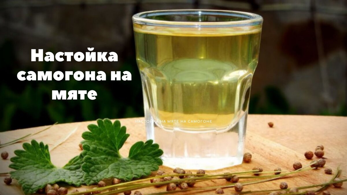 Ликер из мяты. Настой мяты на самогоне. Настой мяты. Самогон на мяте. Мята настойка.