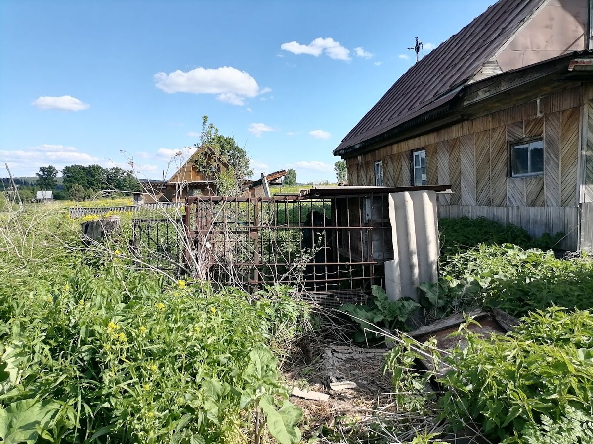                                           Так эта клетка выглядит сейчас.