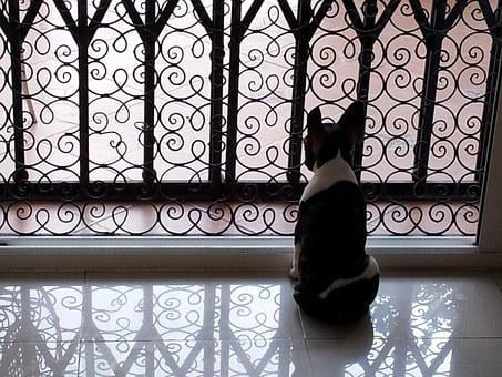 Взято с сайта Pixabay.com