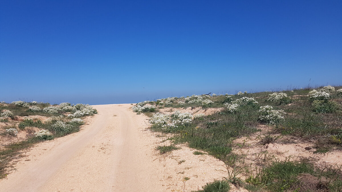 Маленькое село у моря. Бескрайние пляжи и пансионат, не хуже  египетско-турецких 