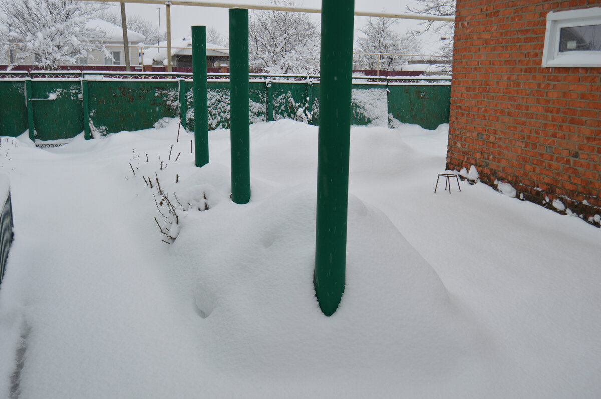 Фото автора. Это не Сибирь. Это Кубань, зима 2022. 