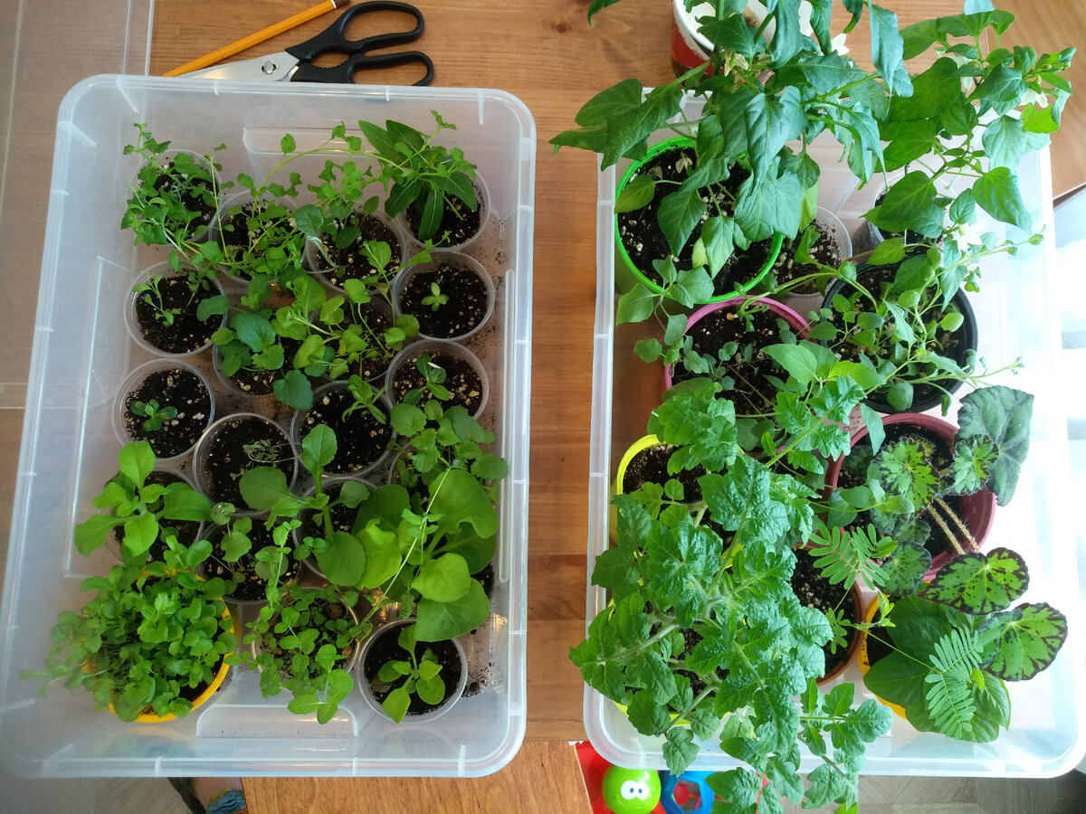 Фото на момент возвращения