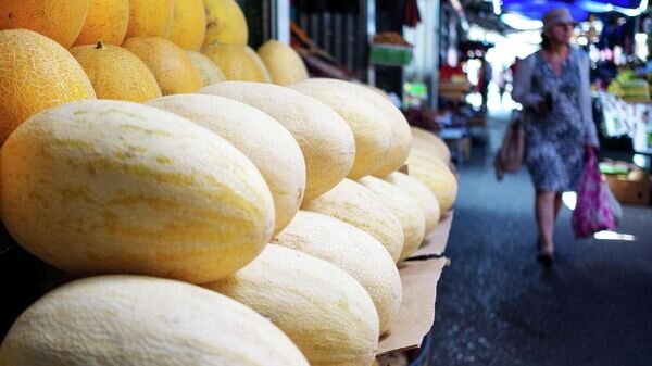   © Sputnik / Николай Хижняк